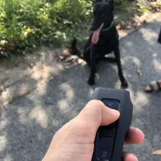 nobark ultra customer review 1